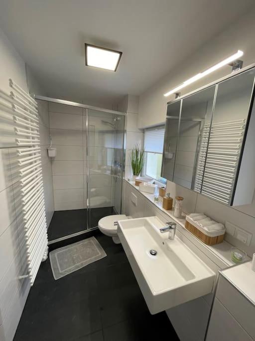Komfortable Ferienwohnung In Halle-Kroellwitz Halle  المظهر الخارجي الصورة