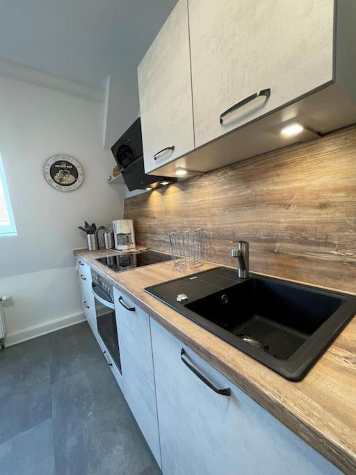 Komfortable Ferienwohnung In Halle-Kroellwitz Halle  المظهر الخارجي الصورة