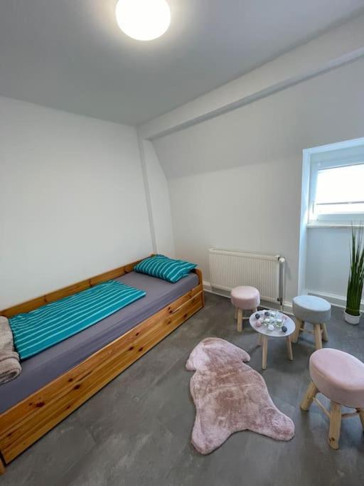 Komfortable Ferienwohnung In Halle-Kroellwitz Halle  المظهر الخارجي الصورة