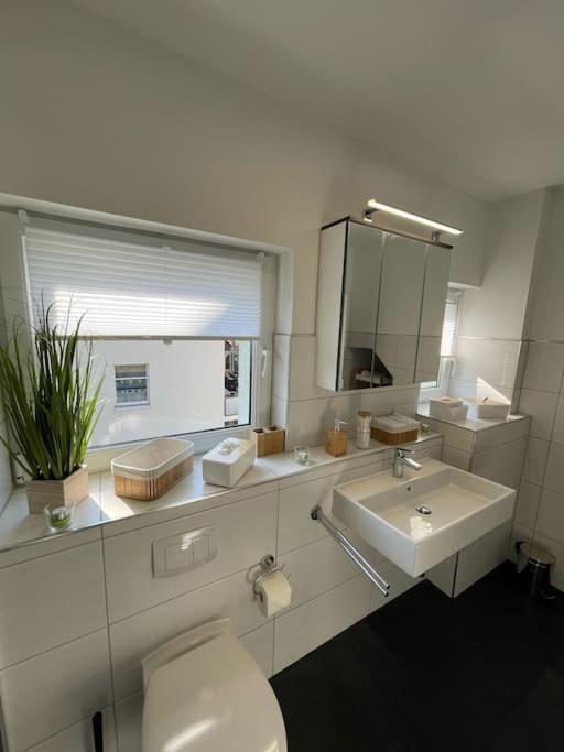 Komfortable Ferienwohnung In Halle-Kroellwitz Halle  المظهر الخارجي الصورة
